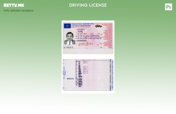 модерен стил Литванија dl присутен шаблон